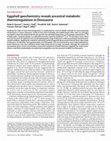 Research paper thumbnail of Eggshell geochemistry reveals ancestral metabolic thermoregulation in Dinosauria