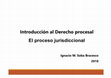 Research paper thumbnail of Introducción al Derecho procesal: el proceso jurisdiccional