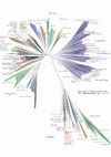 Research paper thumbnail of The Tree of Life. With Darwin from Genesis to Genomics