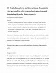 Research paper thumbnail of Symbolic patterns and interactional dynamics in ruler personality cults: responding to questions and formulating ideas for future research