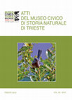 Research paper thumbnail of Bearzatto C., 2019. Prima segnalazione di Magnanina comune Sylvia undata (BODDAERT, 1783) per il Friuli Venezia Giulia (NE Italia). Atti Mus. Civ. St. Nat. Trieste (VOL. 60: 2019), 277-280.