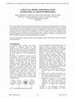 Research paper thumbnail of A fractal model for simulation of biological growth processes