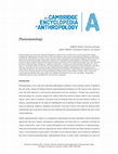 Research paper thumbnail of Phenomenology