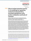 Research paper thumbnail of Silicon tackles butachlor toxicity in rice seedlings by regulating anatomical characteristics, ascorbate-glutathione cycle, proline metabolism and levels of nutrients