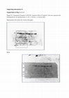 Research paper thumbnail of Monitoring Endothelial and Tissue Responses to Cobalt Ferrite Nanoparticles and Hybrid Hydrogels