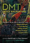 Research paper thumbnail of DMT Entity Encounters (2021)