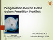 Research paper thumbnail of PENGELOLAAN HEWAN COBA DALAM PENELITIAN PRAKLINIS ANIMAL TESTING