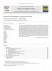 Research paper thumbnail of Mesoscale morphologies in polymer thin films