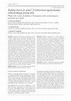 Research paper thumbnail of Kakšne barve je tema? Učinkovitost ugotavljanja arheološkega potenciala / What is the colour of darkness? Evaluation of the archaeological potential assessment