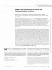 Research paper thumbnail of AMPK in the Small Intestine in Normal and Pathophysiological Conditions