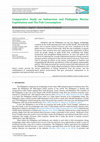 Research paper thumbnail of Comparative Study on Indonesian and Philippine Marine Exploitation and The Fish Consumption