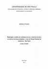 Research paper thumbnail of Modelagem e análise de mudanças do uso e cobertura da terra no entorno de áreas protegidas: o caso do Parque Estadual da Cantareira - São Paulo