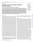 Research paper thumbnail of Mechanism of C-type inactivation in the hERG potassium channel