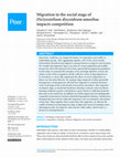 Research paper thumbnail of Migration in the social stage of Dictyostelium discoideum amoebae impacts competition