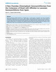 Research paper thumbnail of A New Chanidae (Ostariophysii: Gonorynchiformes) from the Cretaceous of Brazil with Affinities to Laurasian Gonorynchiforms from Spain