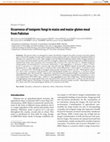 Research paper thumbnail of Occurrence of toxigenic fungi in maize and maize-gluten meal from Pakistan