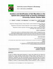 Research paper thumbnail of Isolation and Identification of Soil Mycoflora in the Upland and Lowland Soils of Usmanu Danfodiyo University, Sokoto, Sokoto State