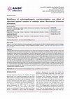 Research paper thumbnail of Bioefficacy of entomopathogenic mycoformulations and effect of adjuvants against nymphs of cabbage aphid, Brevicornye brassicae (Linnaeus)