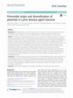 Research paper thumbnail of Primordial origin and diversification of plasmids in Lyme disease agent bacteria