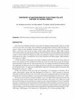 Research paper thumbnail of Footprints of Machairodontid felids from the Late Tertiary of Central Mexico