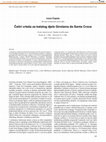 Research paper thumbnail of Četiri crteža za katalog djela Girolama da Santa Croce