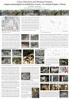 Research paper thumbnail of Cultura della pietra sulla Montagna pistoiese Indagini archeologiche in località La Fontana (Piteglio – Pistoia)