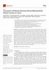 Research paper thumbnail of Assessment of Different Infectious Bovine Rhinotracheitis Marker Vaccines in Calves