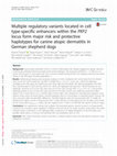 Research paper thumbnail of Multiple regulatory variants located in cell type-specific enhancers within the PKP2 locus form major risk and protective haplotypes for canine atopic dermatitis in German shepherd dogs