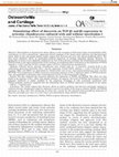 Research paper thumbnail of Stimulating effect of diacerein on TGF-β1 and β2 expression in articular chondrocytes cultured with and without interleukin-1