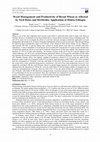 Research paper thumbnail of Weed Management and Productivity of Bread Wheat as Affected by Seed Rates and Herbicides Application at Holeta Ethiopia