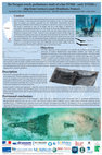 Research paper thumbnail of The Paragan Wreck, preliminary study of a late XVIIth-early XVIIIth c. ship from Corsica's coast (Bonifacio, France)