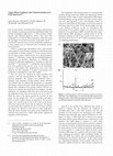 Research paper thumbnail of Vapor-Phase Synthesis and Characterization of ε-FeSi Nanowires