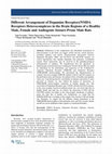 Research paper thumbnail of Different Arrangement of Dopamine Receptors/NMDA Receptors Heterocomplexes in the Brain Regions of a Healthy Male, Female and Audiogenic Seizure-Prone Male Rats