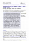 Research paper thumbnail of Nutraceutical, functional, and therapeutic properties of Garcinia cambogia: a review