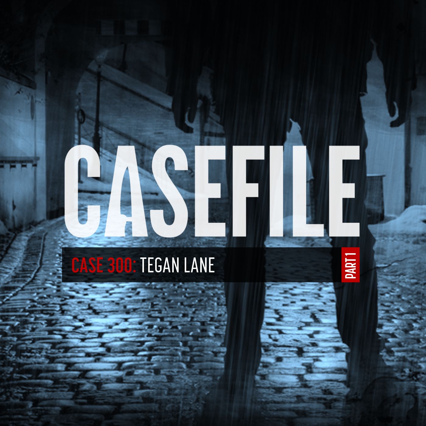 Case 300: Tegan Lane (Part 1)