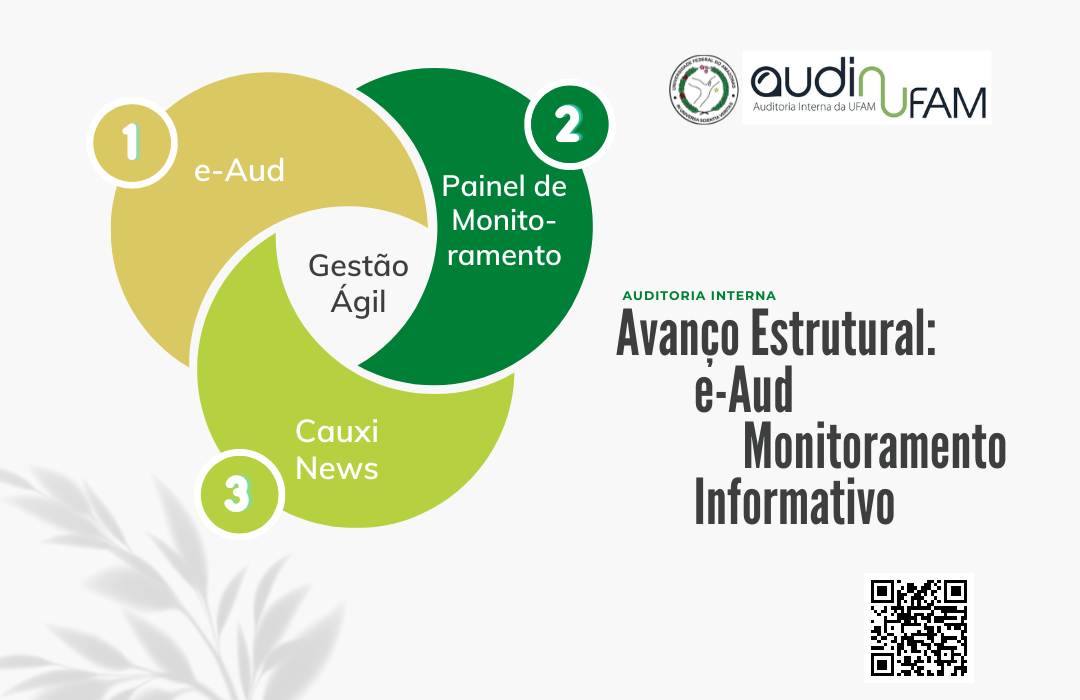 Avanço Estrutural da Auditoria Interna