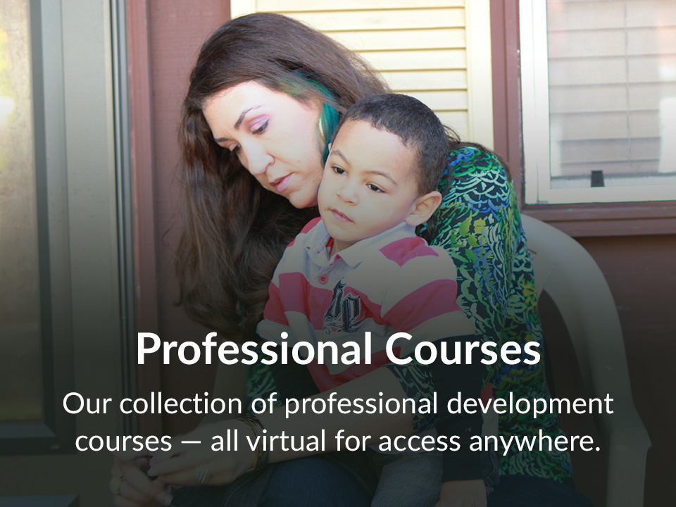 Our collection of professional development courses — all virtual for access anywhere.