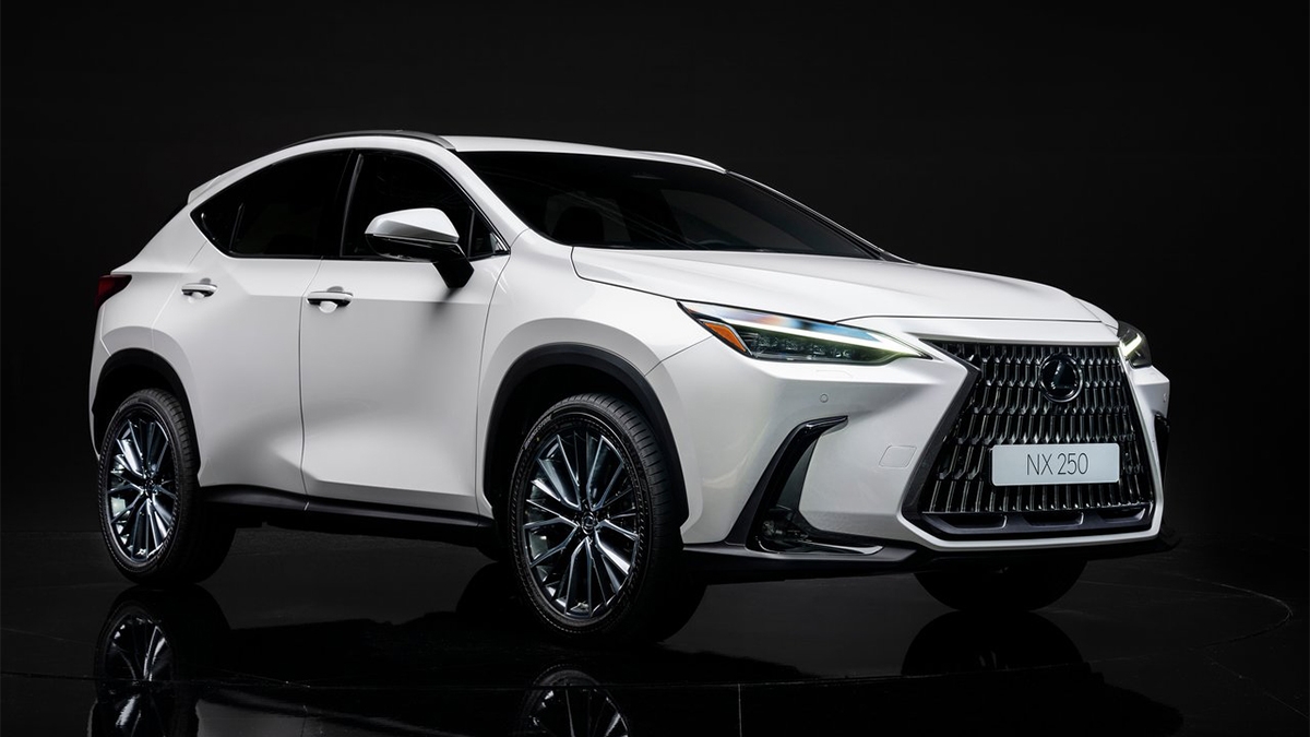 2023 Lexus NX 250豪華版