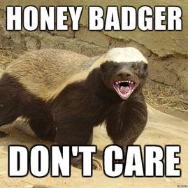 honeybadgerdontcare