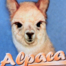 @coolalpaca