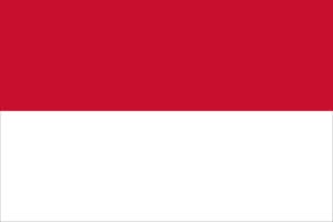 Flag Indonesia