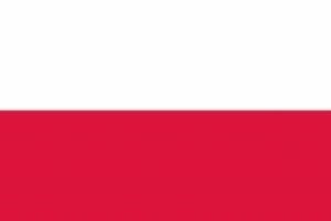 poland flag icon free download e1608735292151