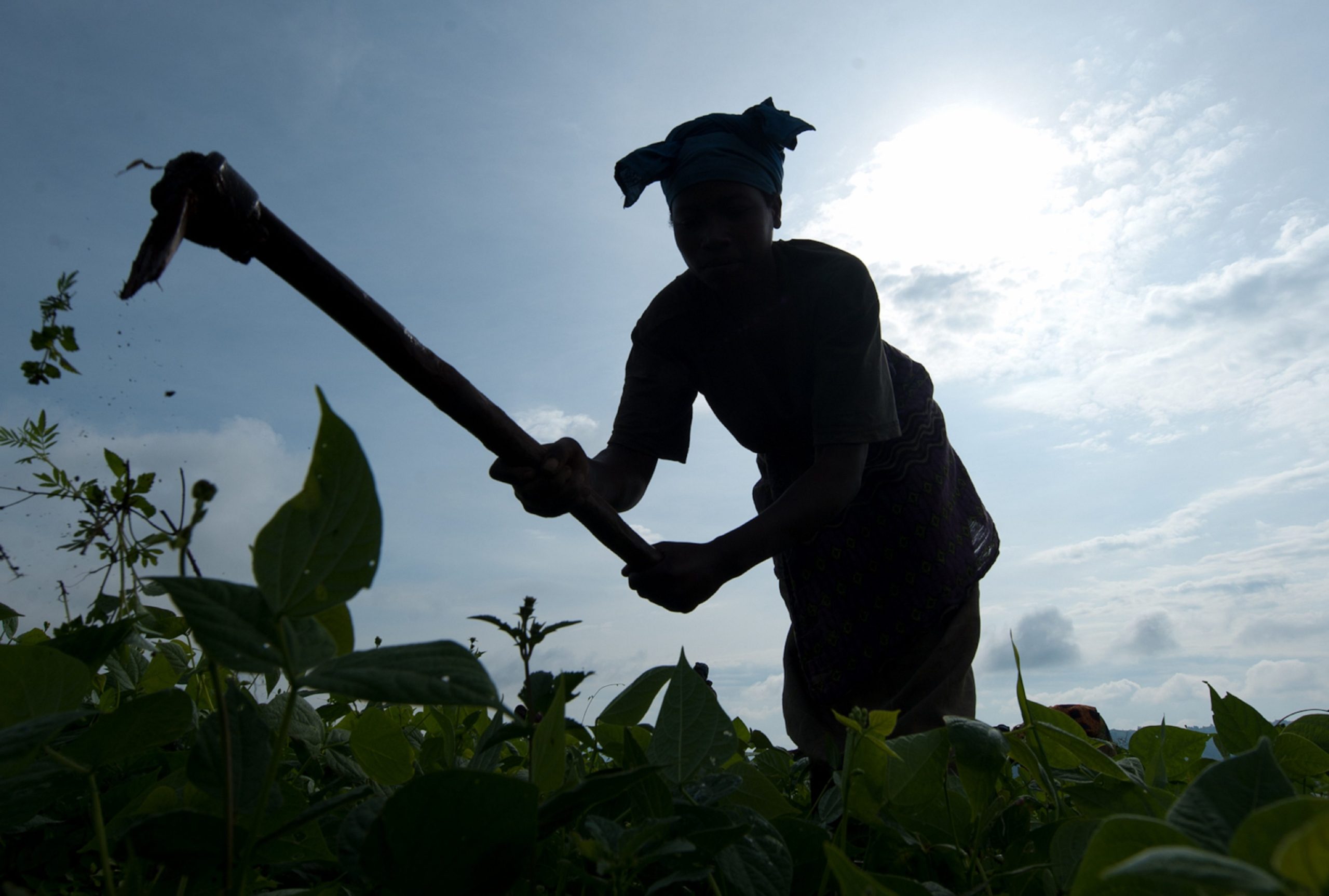 food security in Rwanda - woman involve in agriculture