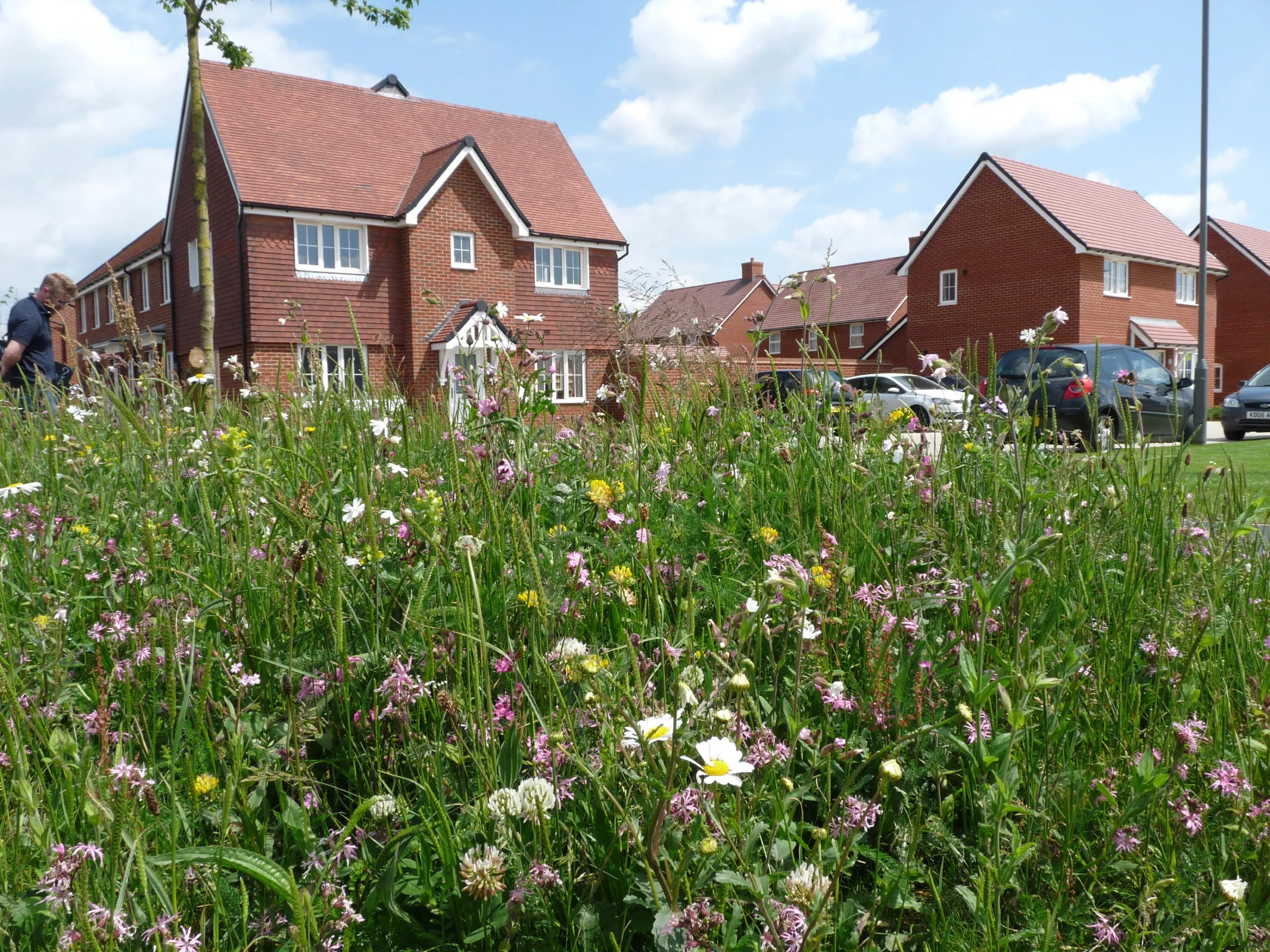 New housing development. It’s vital that new homes are planned with nature in mind.