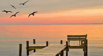 Photo of a dock on the bay