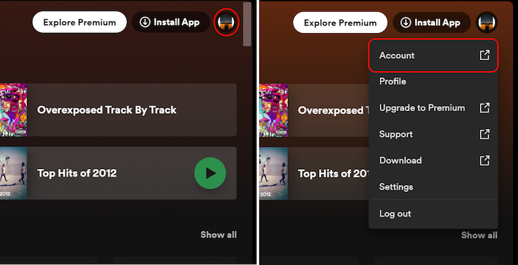 Spotify Account settings