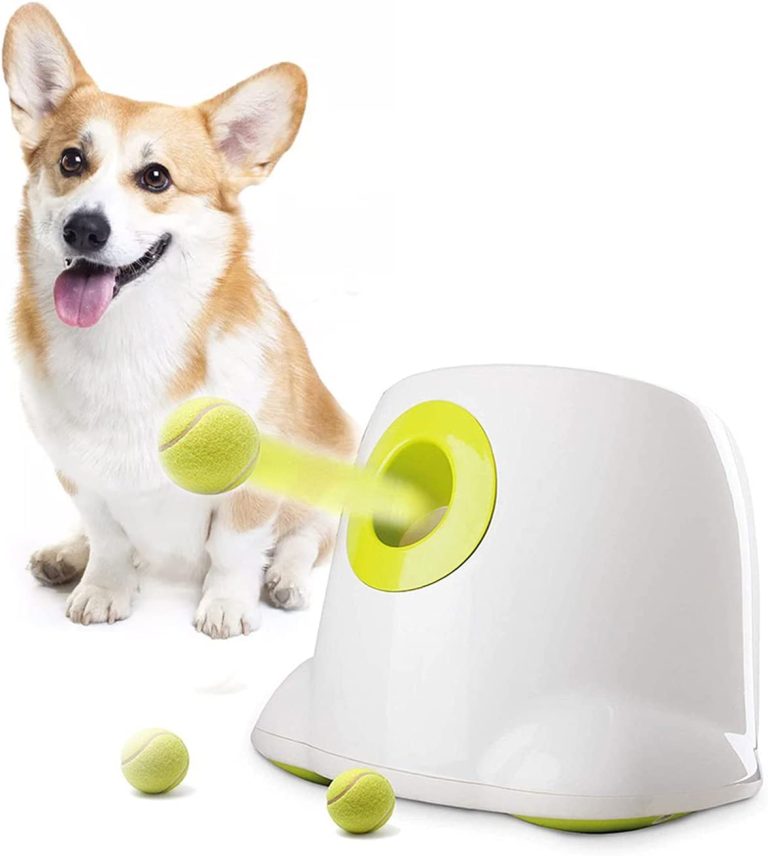 AFP Automatic Dog Ball Launcher