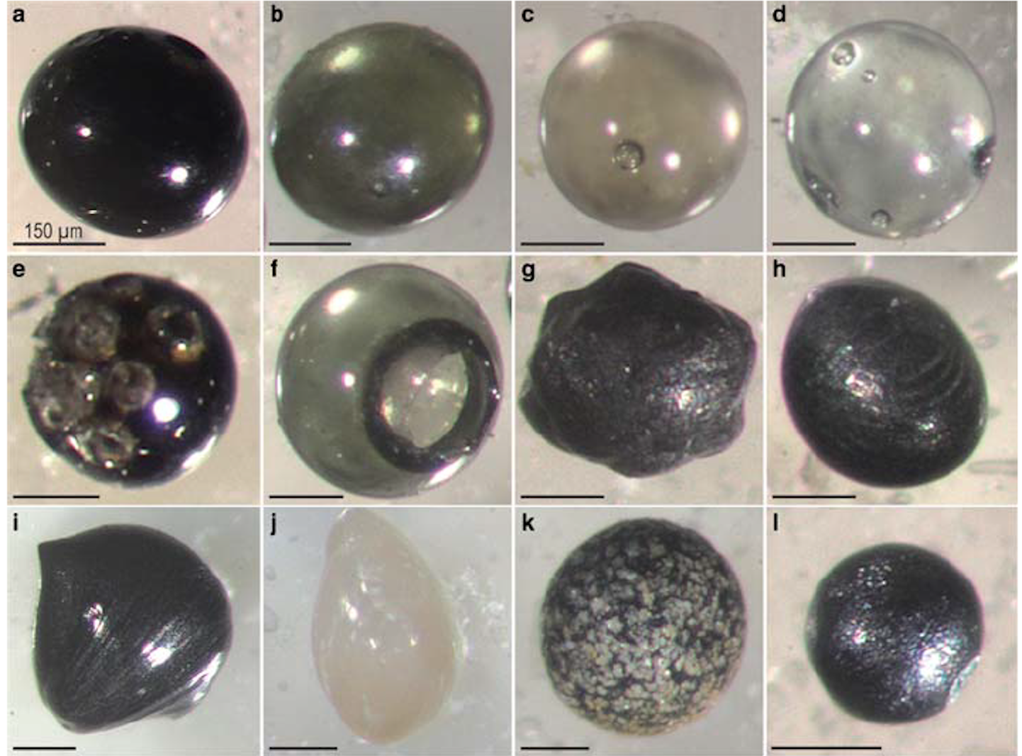 A series of images showing different types of micrometeorites recovered in the transantarctic mountains