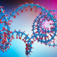 RNA SEQ