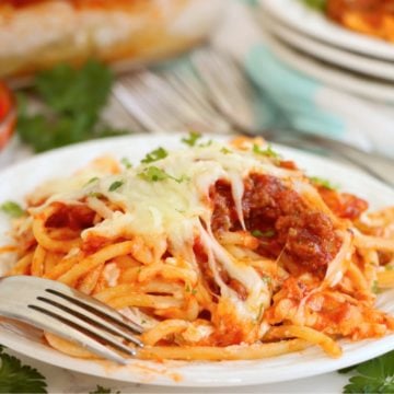 Spaghetti and meat sauce covered in cheese on a white plate.